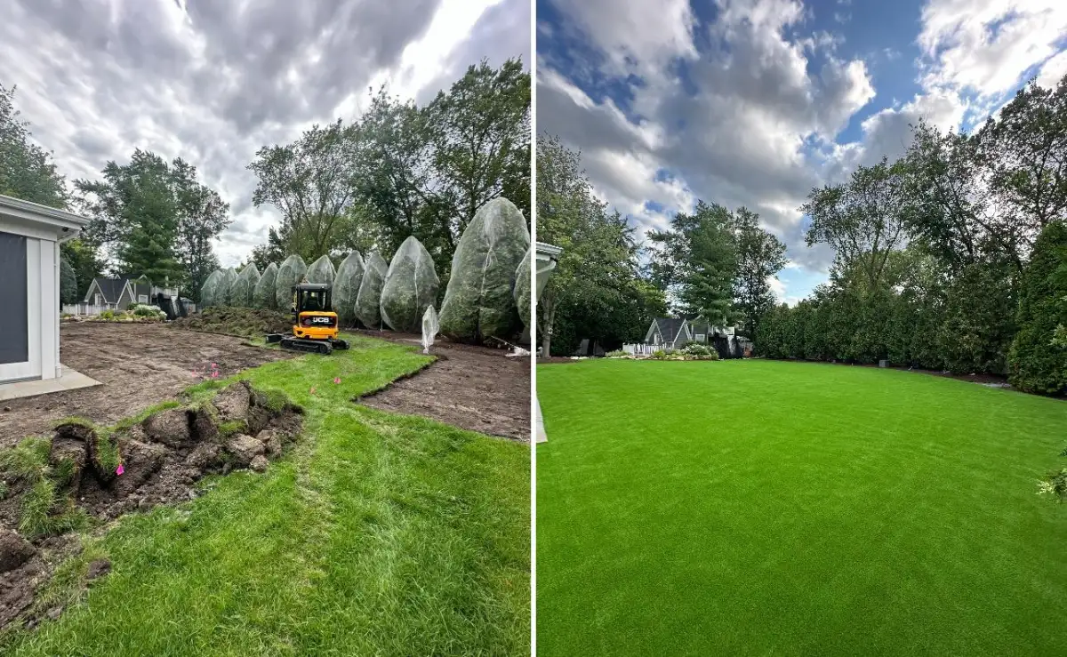 Side-by-side view of artificial turf and natural grass in a Michigan backyard